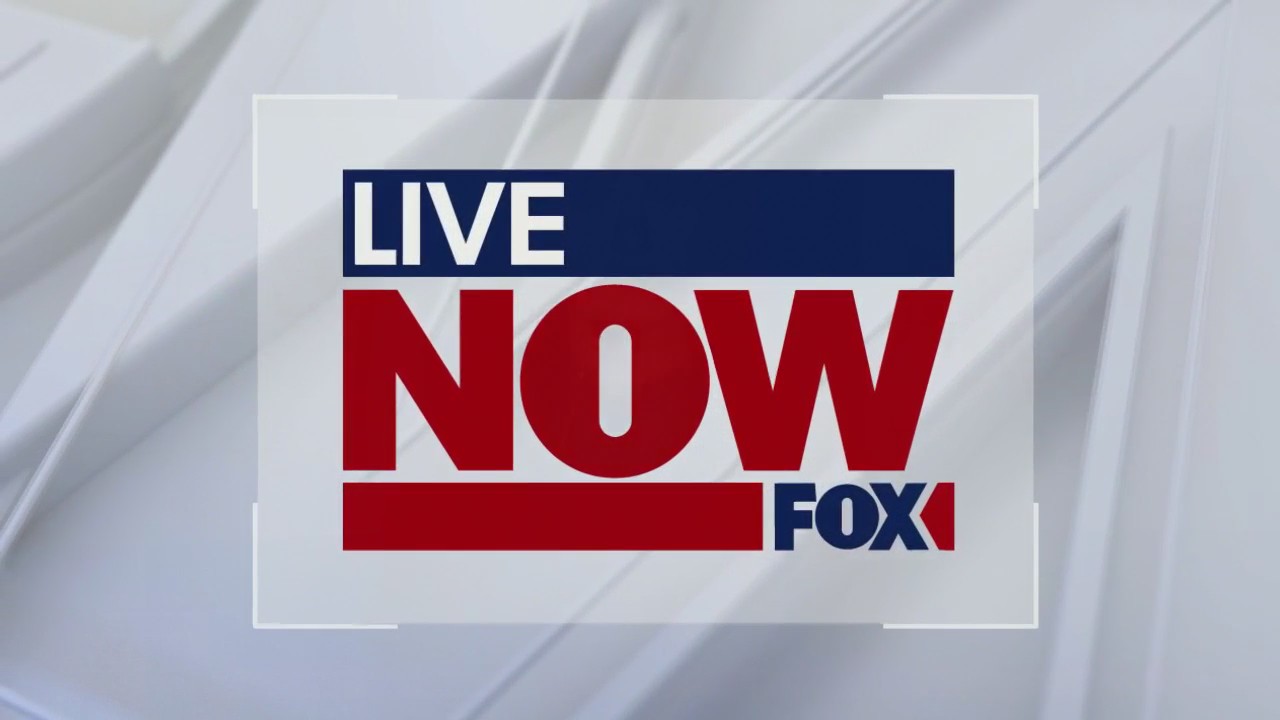 Fmr. Jill Biden aide pleads the fifth amendment