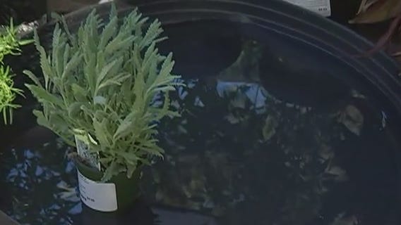 Your Garden: Dealing with dry soil