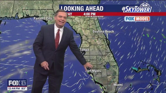 Tampa Weather | Low rain chances