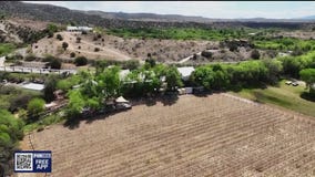 Page Springs Cellars | Drone Zone