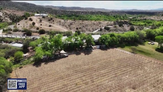 Page Springs Cellars | Drone Zone