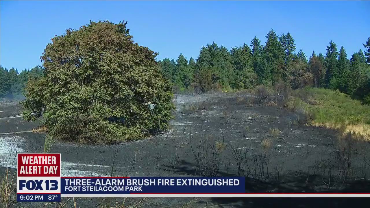 Three-alarm brush fire in Lakewood extinguished | FOX 13 Seattle