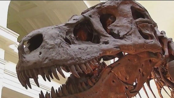 Chicago fossil expert ranked No. 2 coolest job in United States