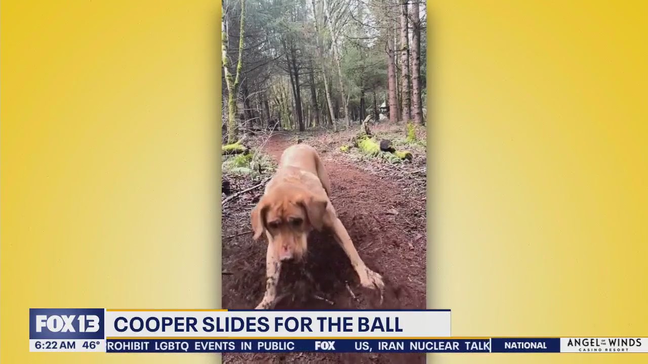 Pet Tricks for Tuesday, April 15