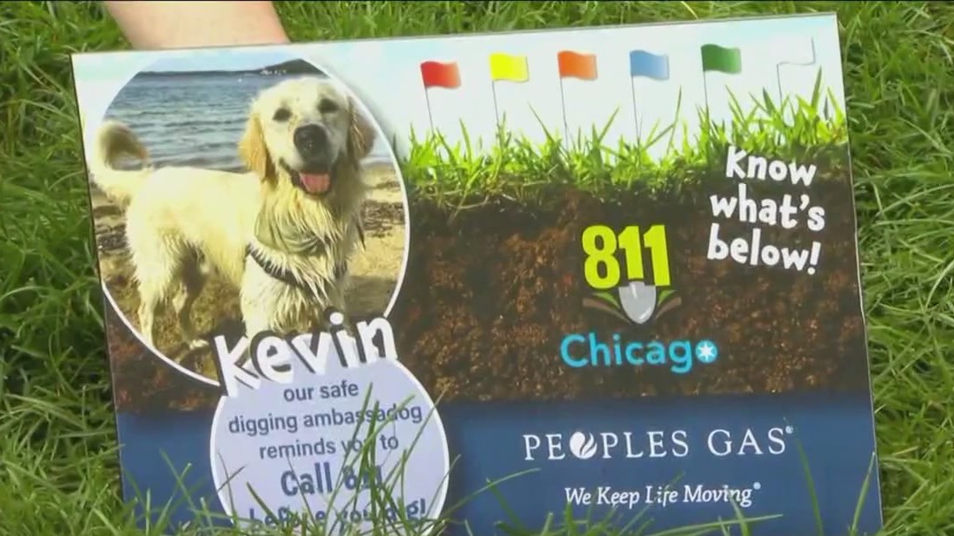 Peoples Gas 'Ambassadog' announced on National 811 Day