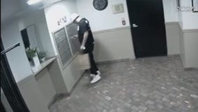 Alleged mail thief arrested