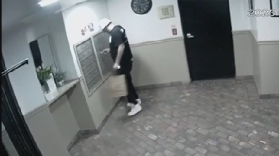 Alleged mail thief arrested