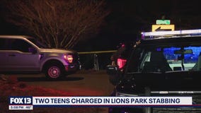 Two teens charged in Lions Park stabbing