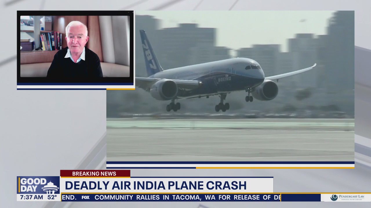 What caused the deadly Air India plane crash: expert weighs in