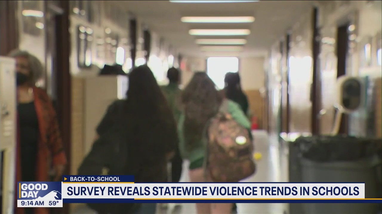 Survey reveals violence trends in WA schools
