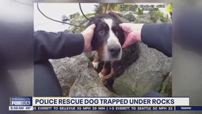Tacoma police rescue dog trapped under rocks