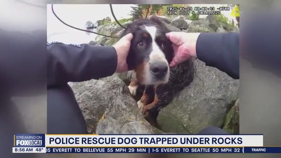 Tacoma police rescue dog trapped under rocks
