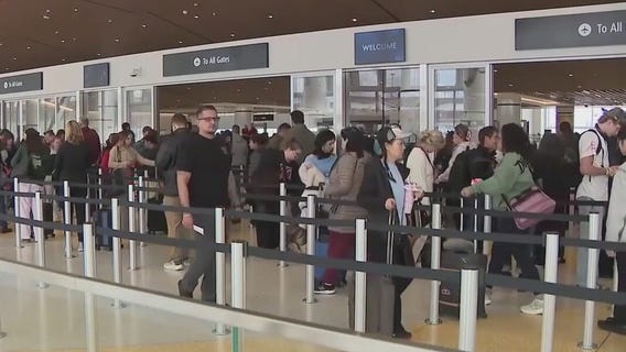 Using AI to assist you with vacation planning