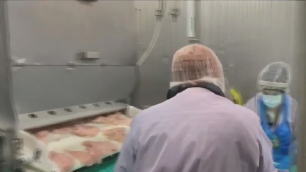 U.S. regulators approve sale of 'lab-grown' meat