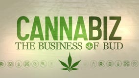 What is Leafly? [Cannabiz: The Business of Bud]