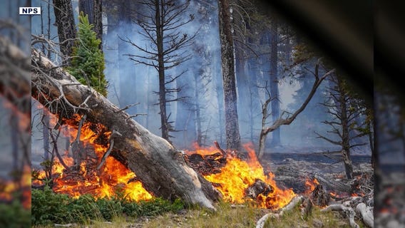 Monsoon storms could help slow wildfire growth