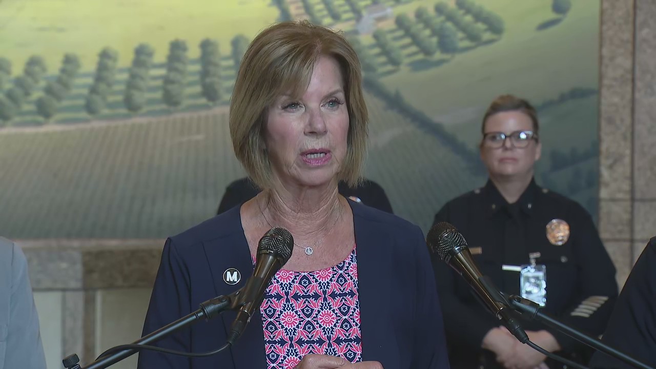 Metro bus hijacking 'a real-life nightmare': Hahn