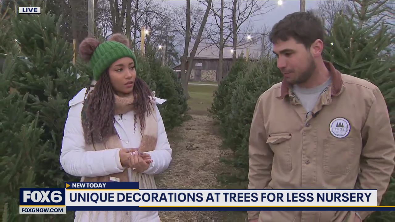 What you need to know when choosing to cut a fresh Christmas tree