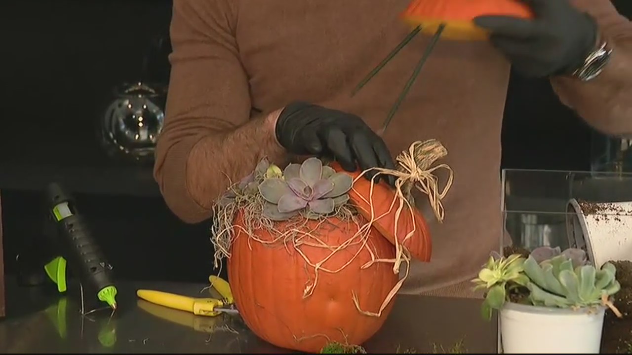 Fall Decor Ideas from Twigs and Branches Floral