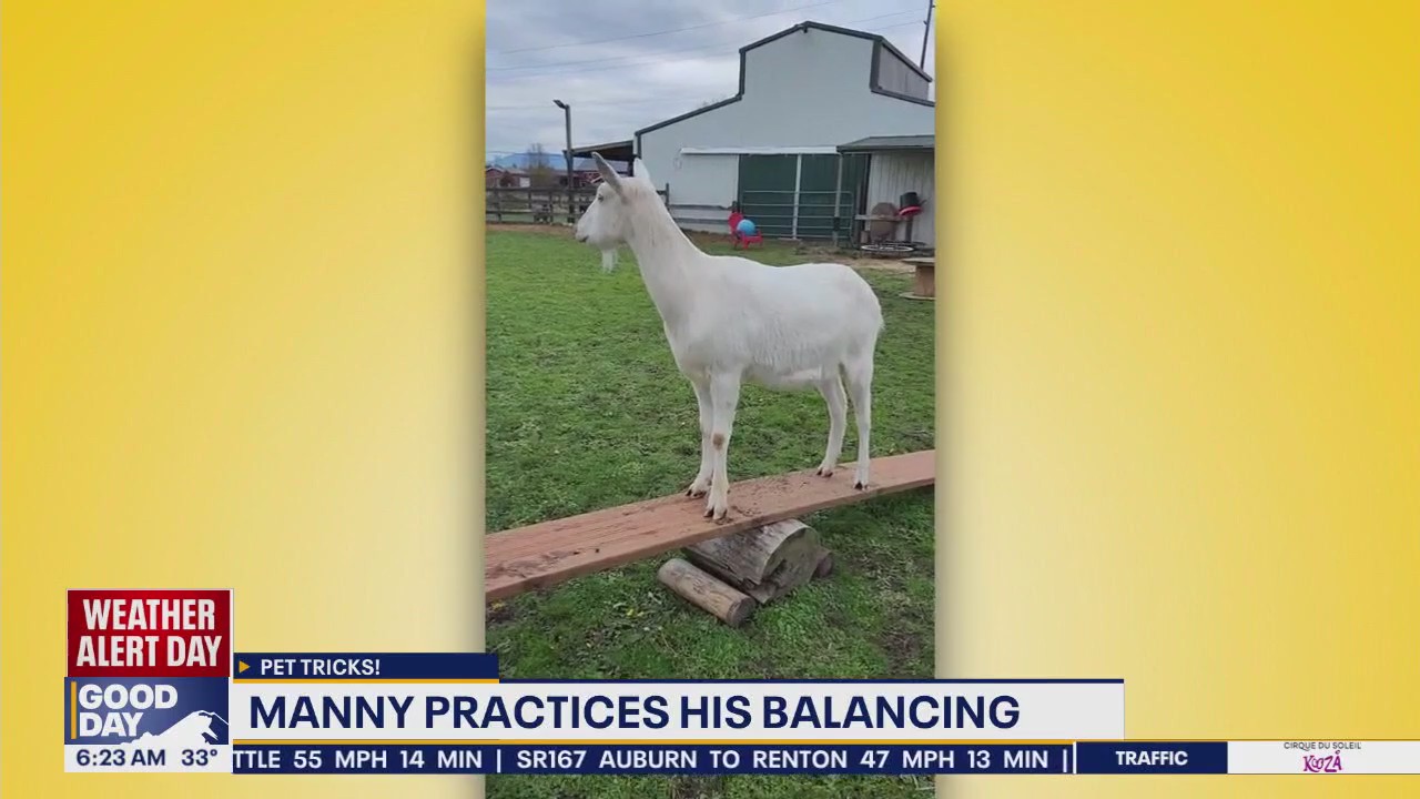 Pet Tricks for Monday, January 20