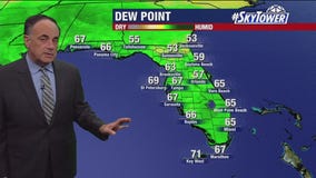 Tampa Weather | Patchy fog tonight, sunny on Thursday