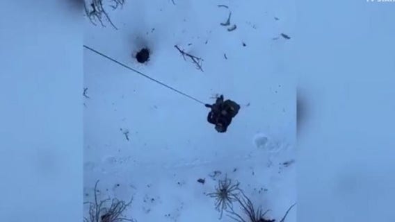 Hikers, dogs rescued in icy Mt. Baldy terrain