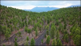 Arizona: The Beautiful