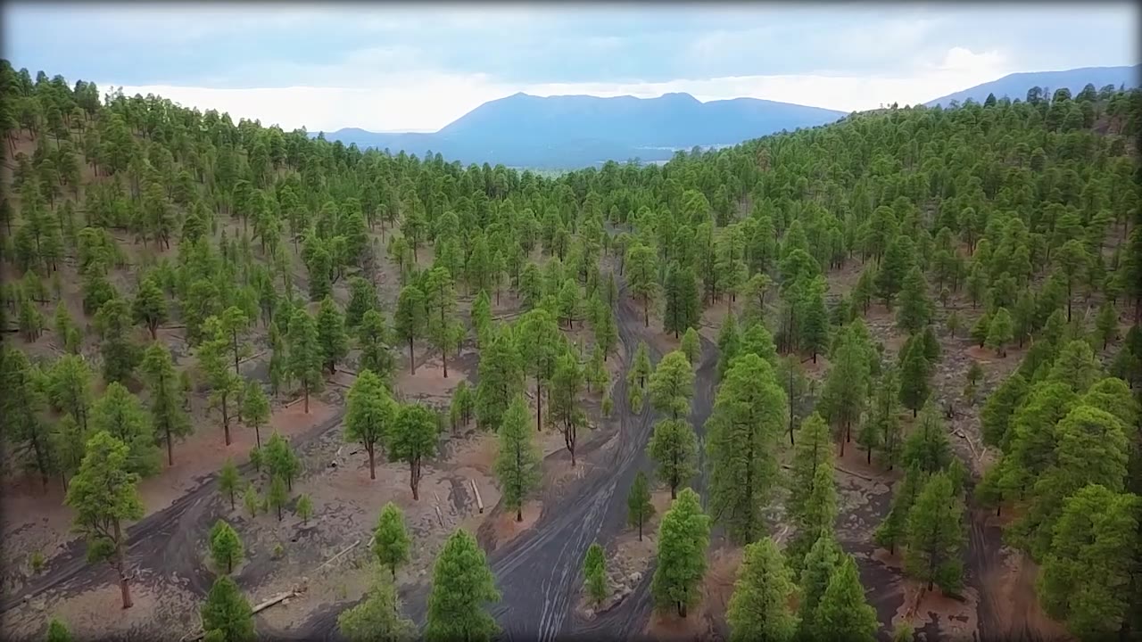 Arizona: The Beautiful