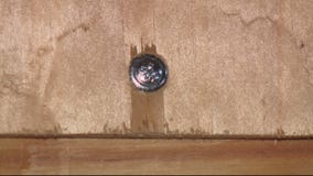 Dearborn retail outlets boarding up windows ahead of election day