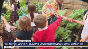 Garden teaching Dallas students about giving back