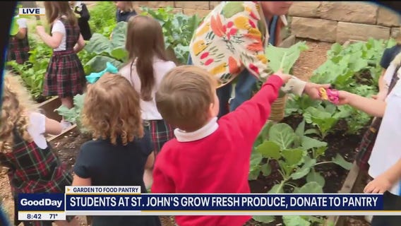 Garden teaching Dallas students about giving back