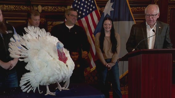Gov. Walz presents Minnesota's Thanksgiving turkey