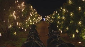 Desert Farm Lights opens for the Christmas season