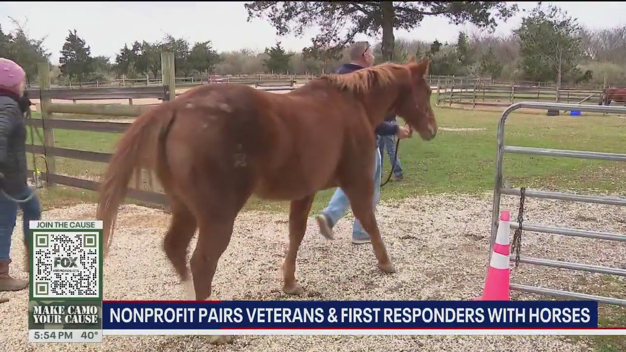 Nonprofit pairs vets and first responders with horses