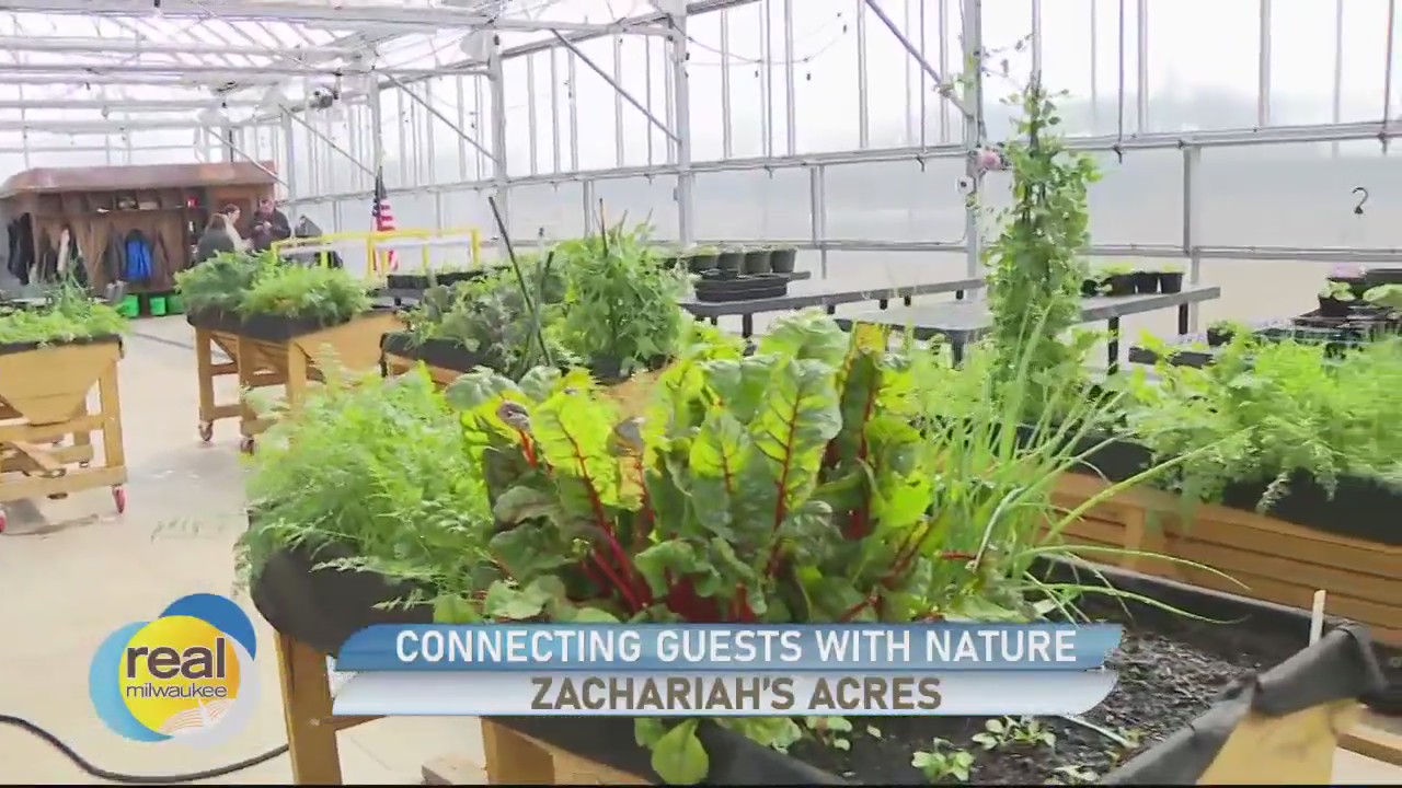 Zachariah’s Acres helps children with special needs find purpose and belonging
