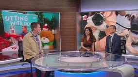 'Sitting With Dogs' host talks holiday pet adoption