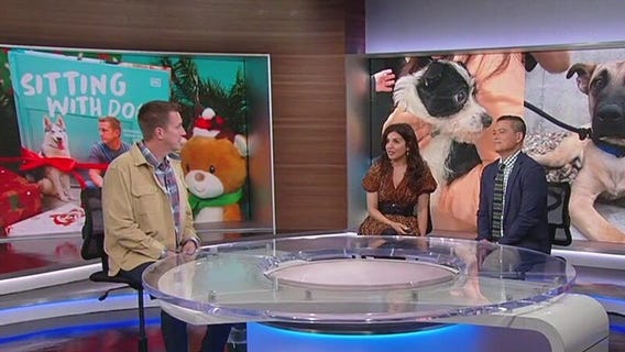 'Sitting With Dogs' host talks holiday pet adoption