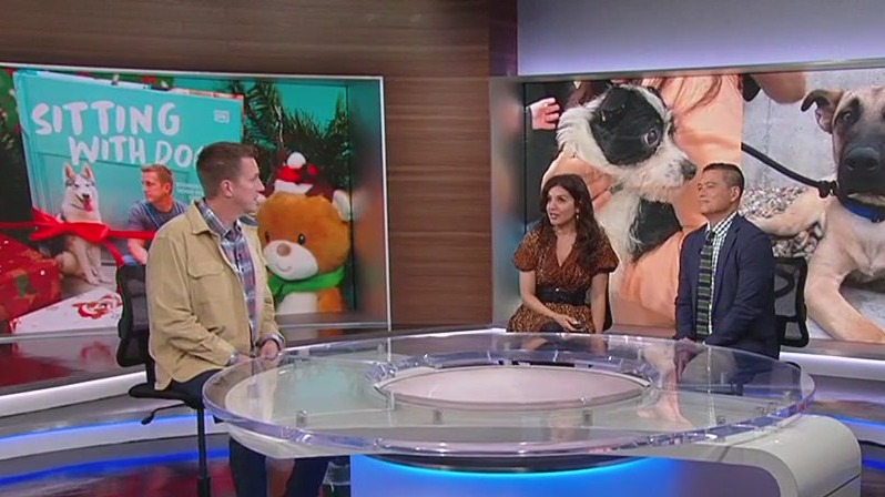 'Sitting With Dogs' host talks holiday pet adoption