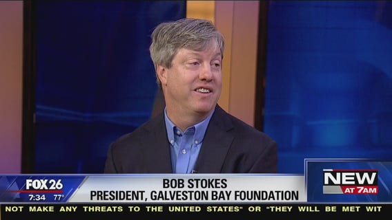 Galveston Bay report card