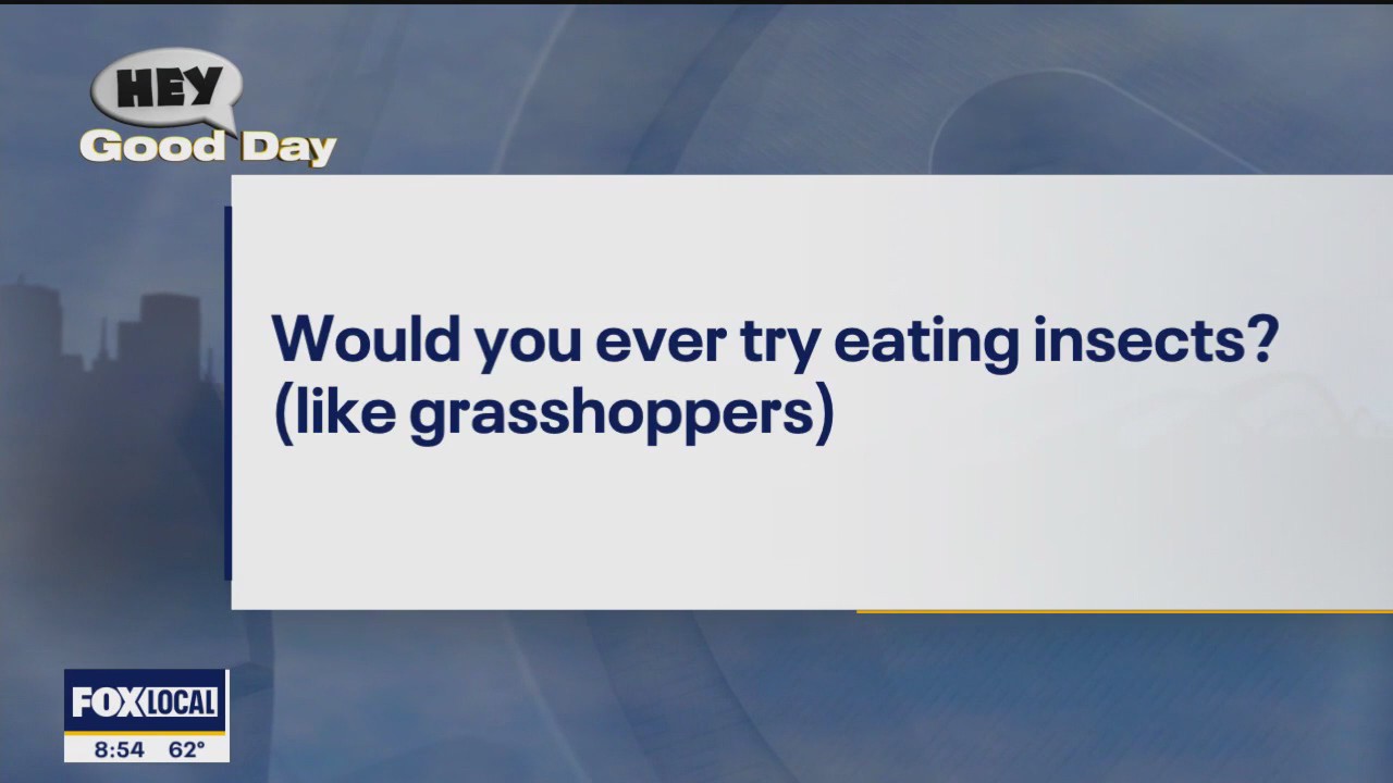 Would you eat a chocolate-covered grasshopper?