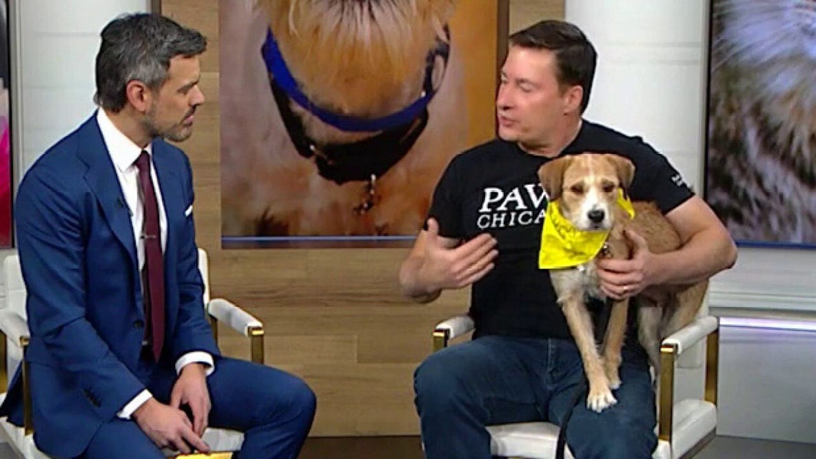 Muse will help write your story in 2026 