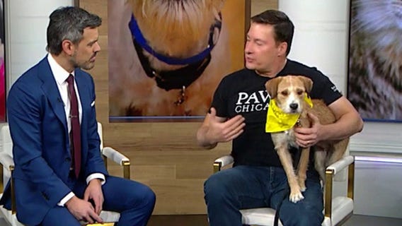 Muse will help write your story in 2026 