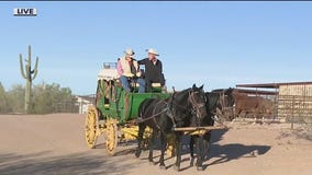 Stagecoach rides with Arizona Stageline & Wagons