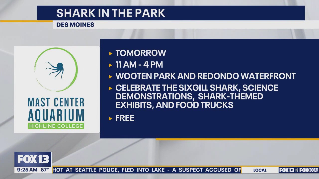 Things to do with the family this weekend