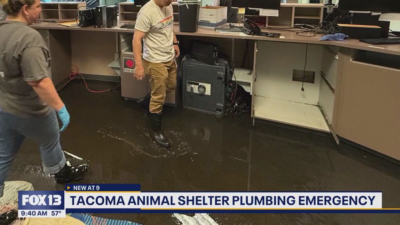 Tacoma Humane Society back open after plumbing emergency