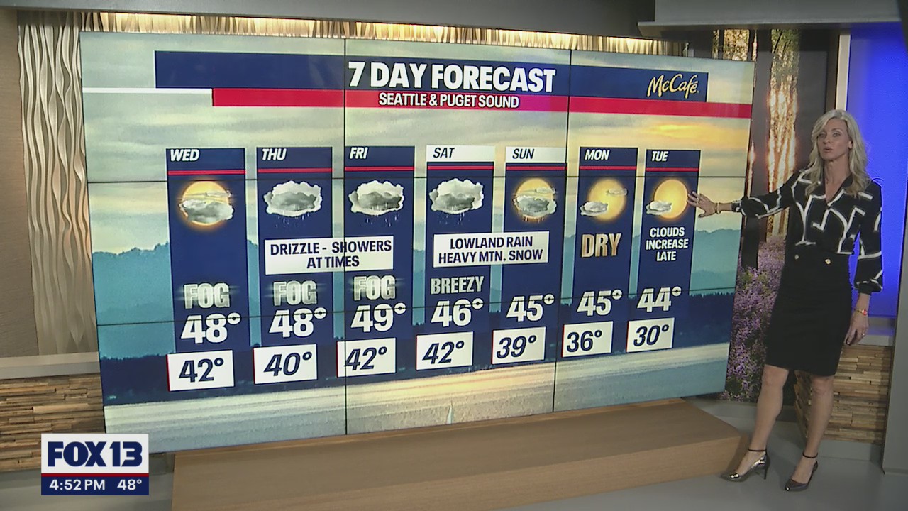 Glimpses of sunshine, but otherwise a cloudy and rainy week