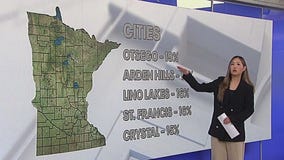 Minnesota property tax statements examined