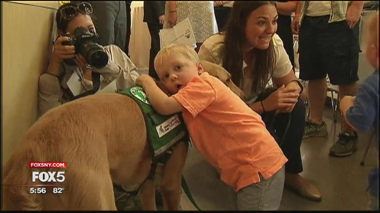 Hospital introduces special dog to patients