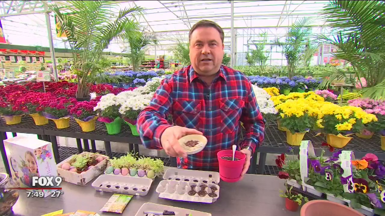 Garden Guy Dale K: make the most of spring despite cold temperatures