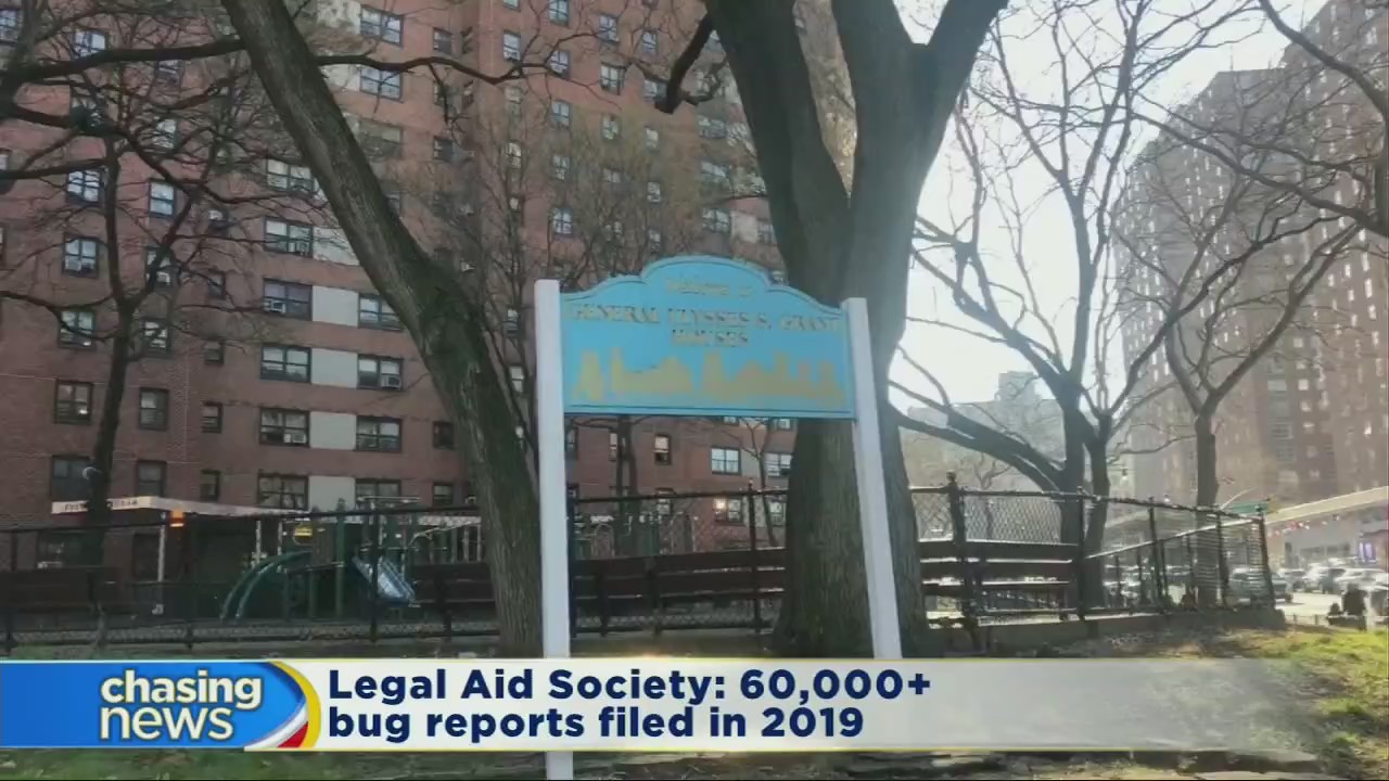 NYCHA residents complain about roaches and bedbugs